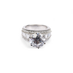 Load image into Gallery viewer, &quot;The Radiant Splendor&quot; Silver Ring
